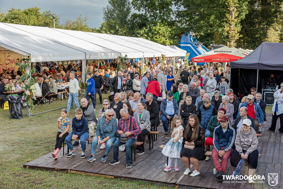 Tradycyjne Święto Plonów w Drogoszowicach